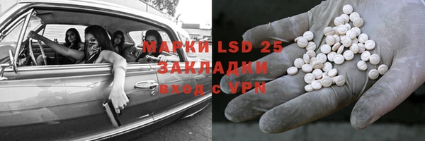 стафф Кирсанов