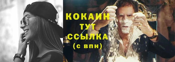 твердый Переславль-Залесский