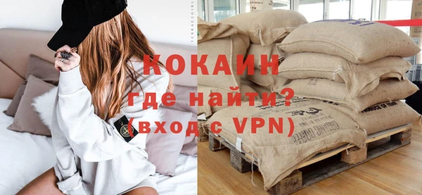 индика Елизово