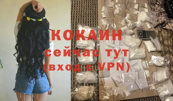 мяу мяу мука Ельня