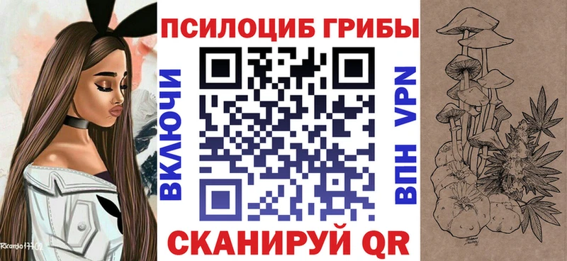blacksprut онион Сельцо Галлюциногенные грибы Psilocybe продажа наркотиков