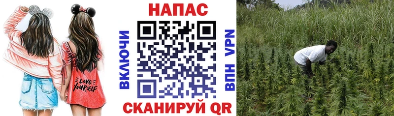 Бошки марихуана семена  Сельцо 